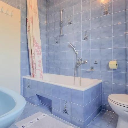 Apartment Mirjana Four Novigrad (Istria)